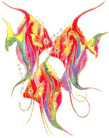 tropical-fish-2611