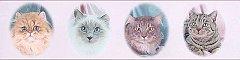 Cats_Border