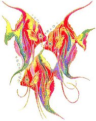 tropical-fish-2611