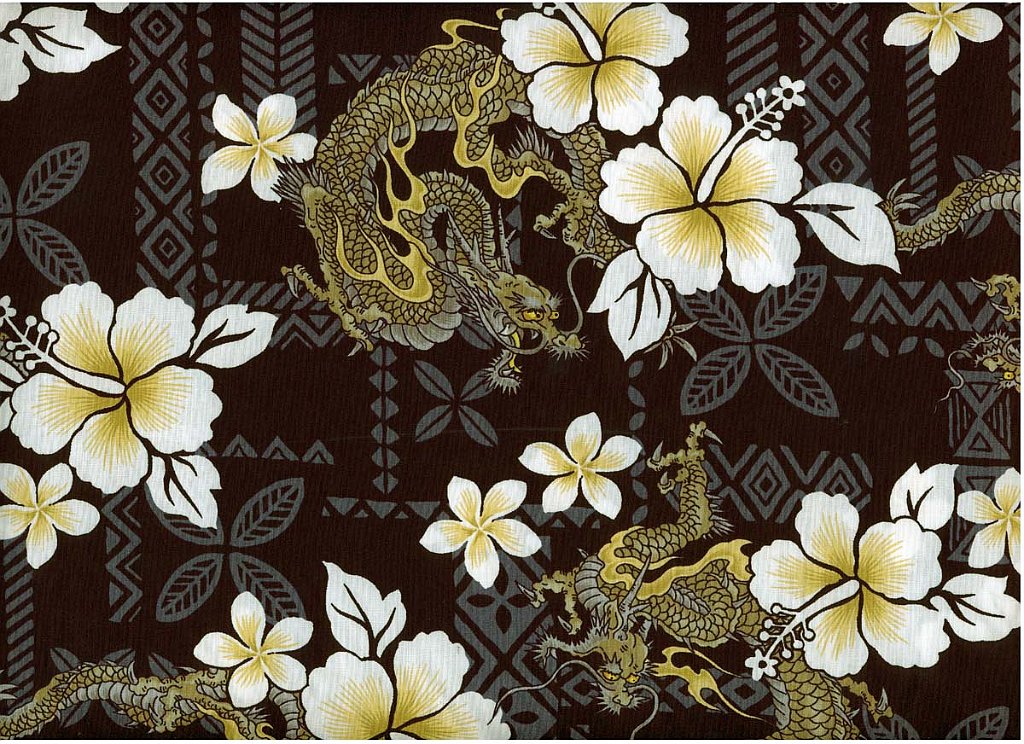 black_hib_hawaii_dragon