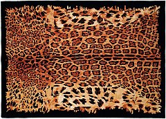 TIGER-01