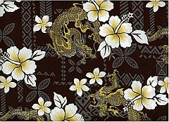 black_hib_hawaii_dragon