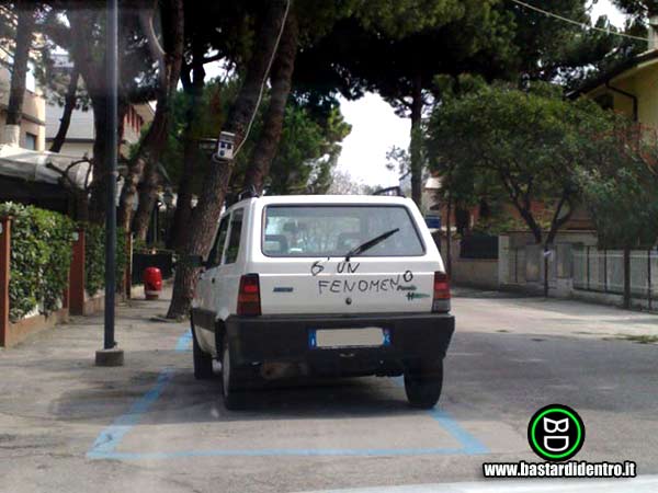 BD1504-6-un-fenomeno-