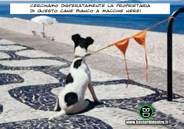 BD1671-Cerchiamo-disperatamente