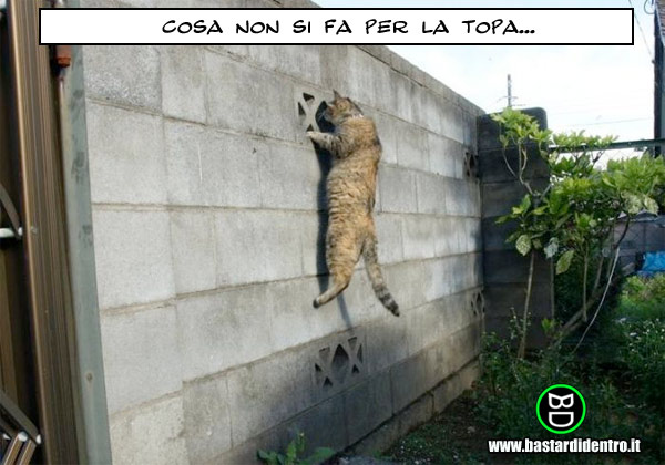 BD1707-Cosa-non-si-fa