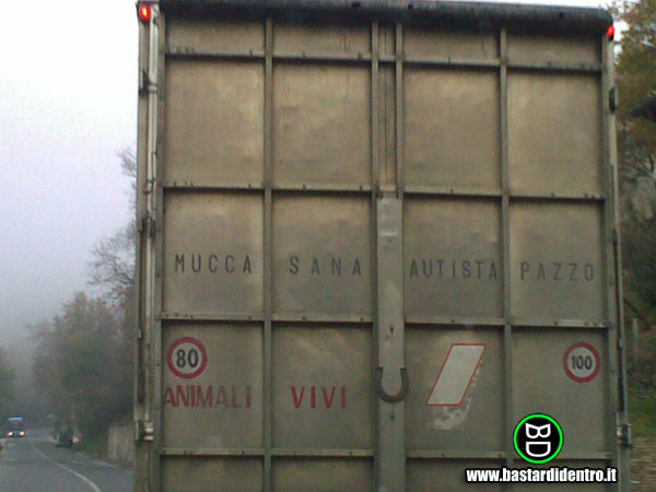 BD1727-Camion-a-Urbino