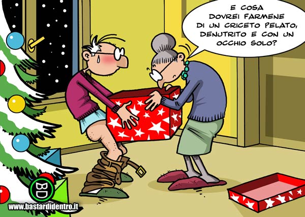 BD1740-Regala-un-criceto
