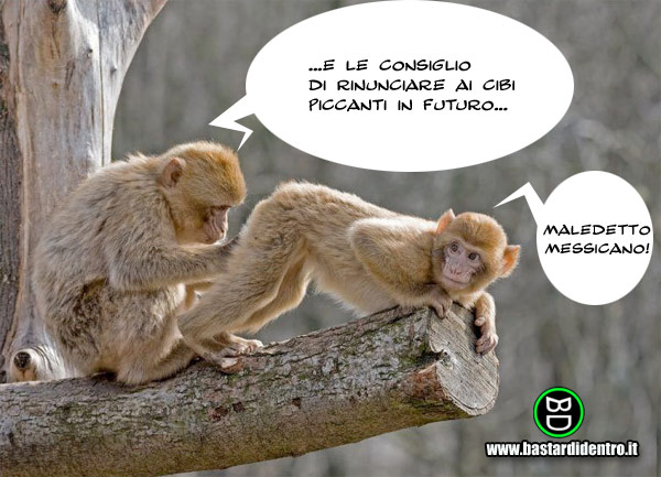 BD1800-Ramo-della-medicina