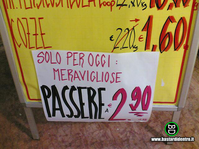 BD1813-Passere