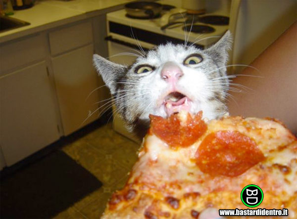BD1815-Pizza-Bigazzi