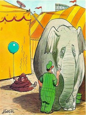 Elefante
