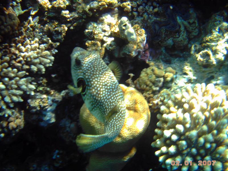 PICT0256