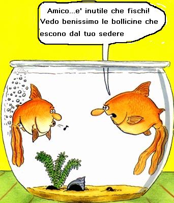 Pesci
