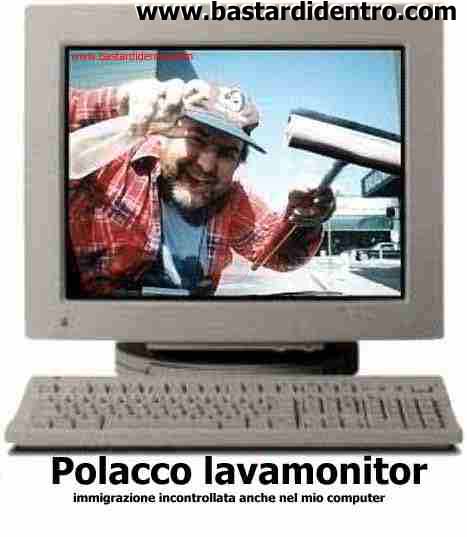 Polacco