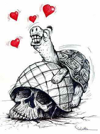 Tartaruga