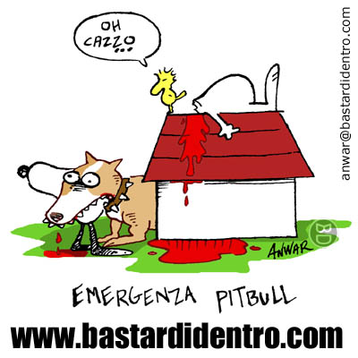 emergenzapitbull
