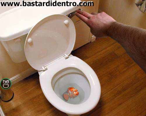 nemo