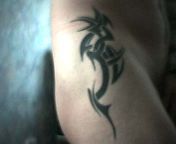 resized_W6