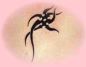 resized_Z