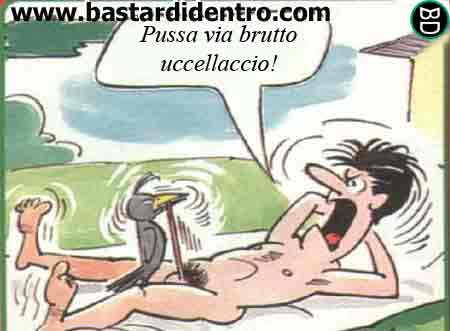 uccello