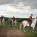DSC_3371.JPG