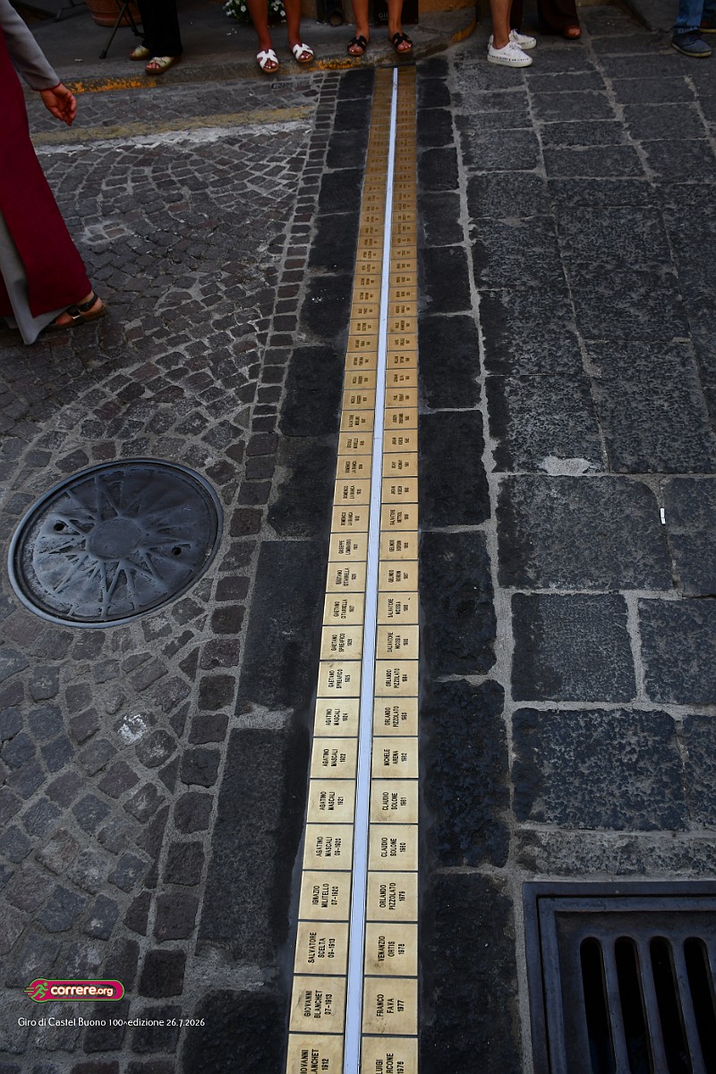 DSC_6366