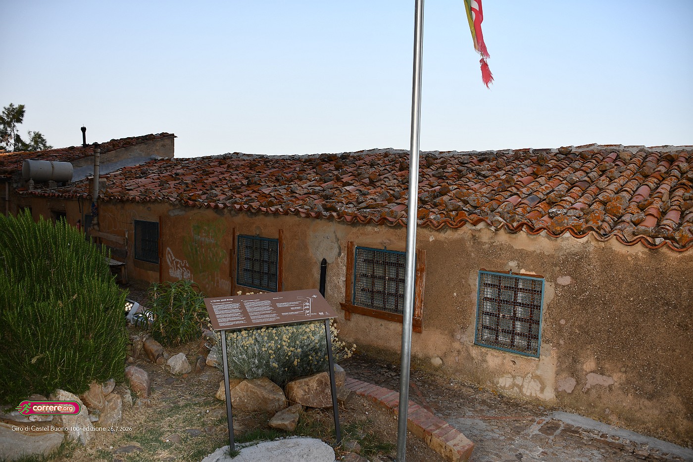 DSC_6417